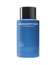 WSDGT0912 Sebastian Hydre Shampoo 250ml